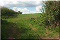 Field near Flear Barn