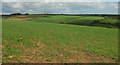 Farmland near Rimpston Farm