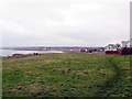 Coastal grassland south of Whitburn