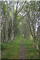 Railway trackbed, near Aboyne