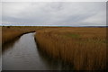 TM4974 : The Dunwich River at Walberswick by Christopher Hilton