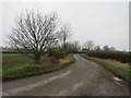 TL4231 : Country lane near Brent Pelham by Malc McDonald