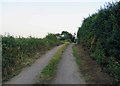 Footpath towards Tollerton