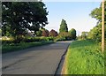 Bridegate Lane eastwards