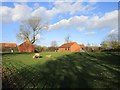 Sheep in the sun, Teigh