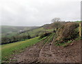 Llwybr uwchben Gwrthwynt Isaf / Path above Gwrthwynt Isaf