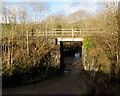 Low railway bridge, Tynewydd near Seven Sisters