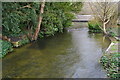 River Allen from Hanham Road bridge