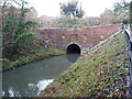 Eastern portal of Brandwood tunnel