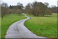 Estate road, Kingston Lacy