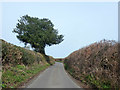 Coleshill Lane