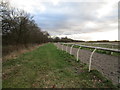 Training gallops near East Field