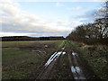 Track to Turf Moor Farm