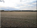 Stubble field near Brills Farm