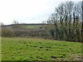 Field between Hyde Lane and railway