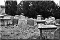 SO6323 : Gravestones by John Winder