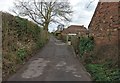 Lane at Low Habberley Farm