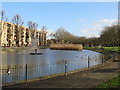 Pond on Clapton Common