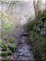 Bridleway near Cragg Hall