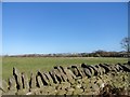 View north from Outputs Lane