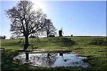 TQ8331 : Field pond near Rolvenden Windmill by Oast House Archive