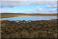 SE0264 : Mossy Moor Reservoir by Chris Heaton