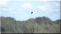 Kiteboarding at Borth Sands