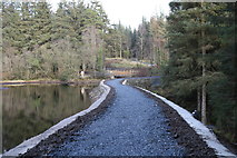 NX4465 : New Trail on the Dam Wall, Kirroughtree Forest by Billy McCrorie