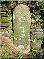 Old Bridge Marker by the A39 in Knightsmill, Camelford Parish