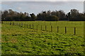 Fields south of Calshot