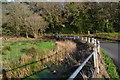 Drainage ditch beside Stanswood Road