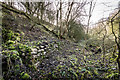 Keele Park Station 1896 -1907 (disused)