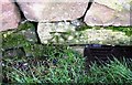 Benchmark on roadside wall at entrance to Whinfell Park