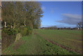 Footpath from the end of Lower Barns Road