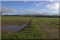 Field track from Lower Barns Road