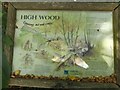 TQ6038 : Noticeboard about High Wood by John P Reeves