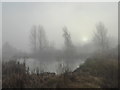 Freezing fog at the London Wetland Centre