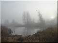 Freezing fog at the London Wetland Centre