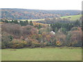 Hydref yng Nghwm Llanllawddog /Autumn in Llanllawddog valley