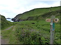 Pembrokeshire Coast Path at Caer Bwdy Bay