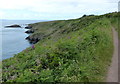 SM7624 : Pembrokeshire Coast Path at Caer Bwdy Bay by Mat Fascione