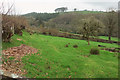 Field above Cardinham Water valley