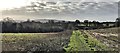 TQ2115 : Henfield, Sussex - view south from Spring Hill by Ian Cunliffe