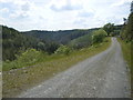 Track, South Brechfa Forest, Llanllawddog