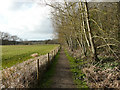 Footpath below Cragg Wood, Rawdon