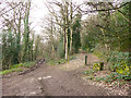 Footpath crossing Underwood Drive, Rawdon