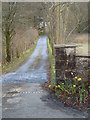 Mynedfa Plas Glangwili, Llanllawddog / Entrance, Glangwili Mansion, Llanllawddog