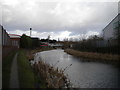 Wednesbury Old Canal, Greets Green