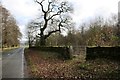 Field gateway from B6412 opposite junction to Winderwath