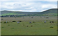 Gors Fawr Stone Circle